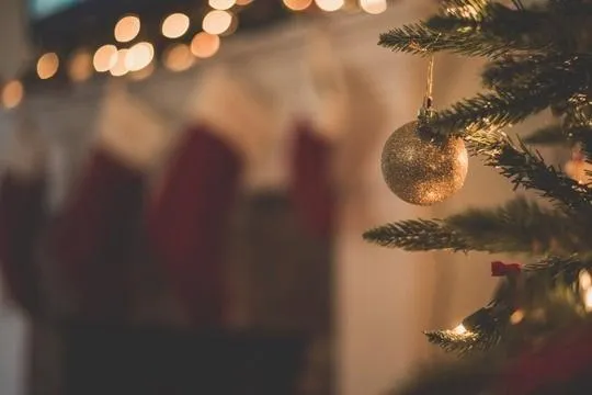 Merry Christmas and Happy New Year!