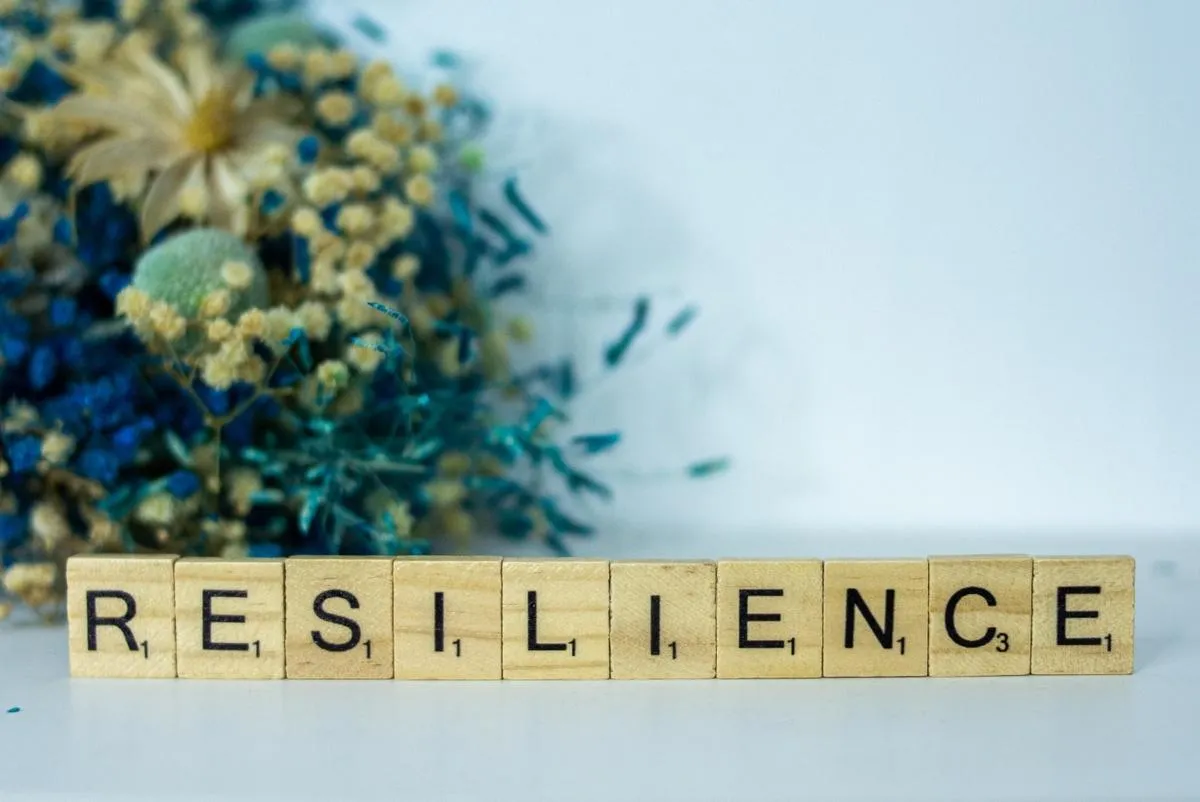 Financial Resilience Near Market Highs and Interest Rate Shifts